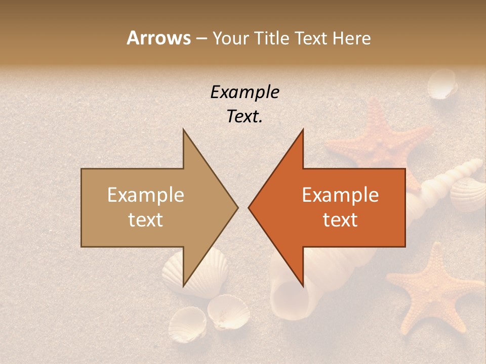 Vacation Souvenir Starfish PowerPoint Template