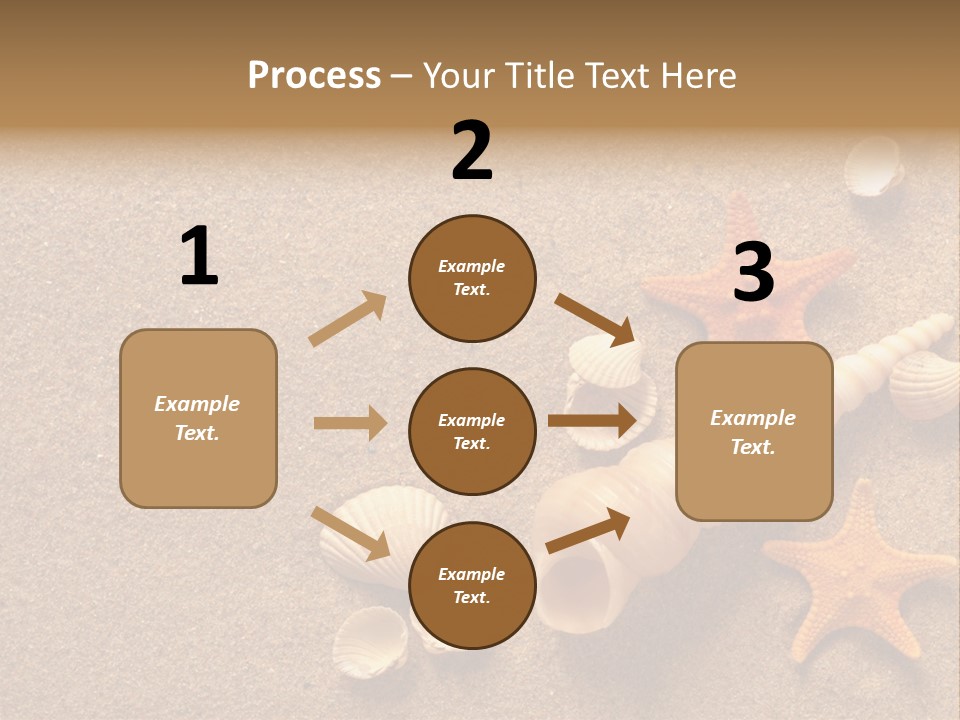 Vacation Souvenir Starfish PowerPoint Template