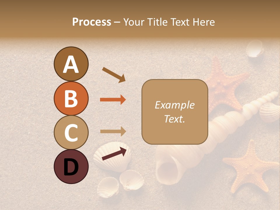 Vacation Souvenir Starfish PowerPoint Template