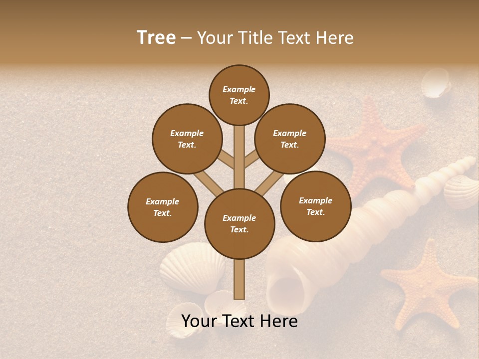 Vacation Souvenir Starfish PowerPoint Template