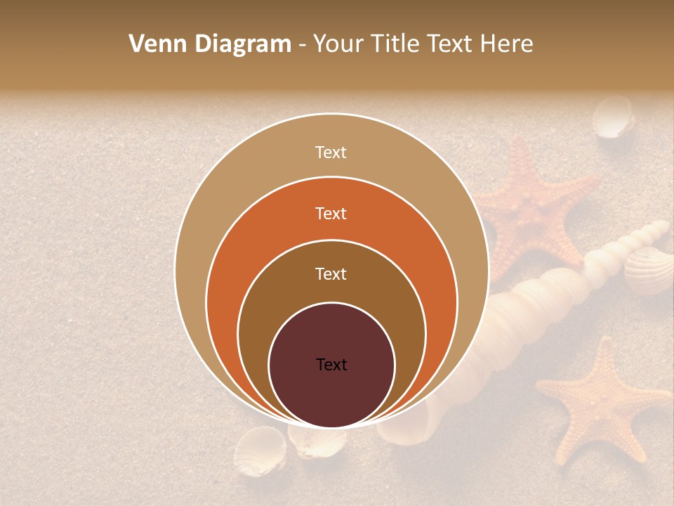 Vacation Souvenir Starfish PowerPoint Template