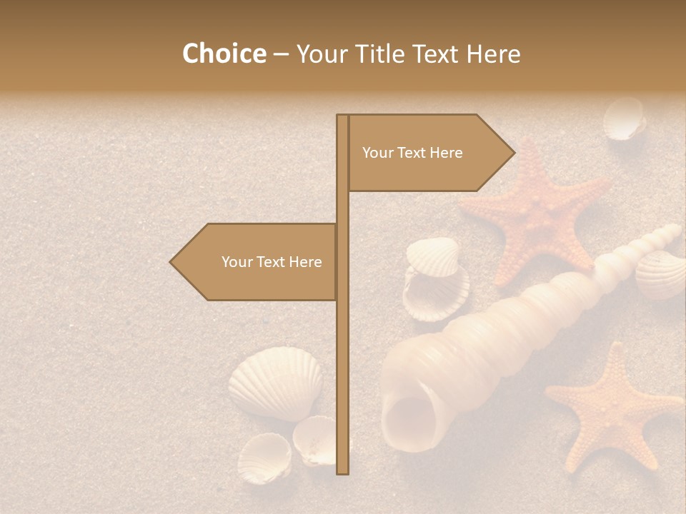 Vacation Souvenir Starfish PowerPoint Template