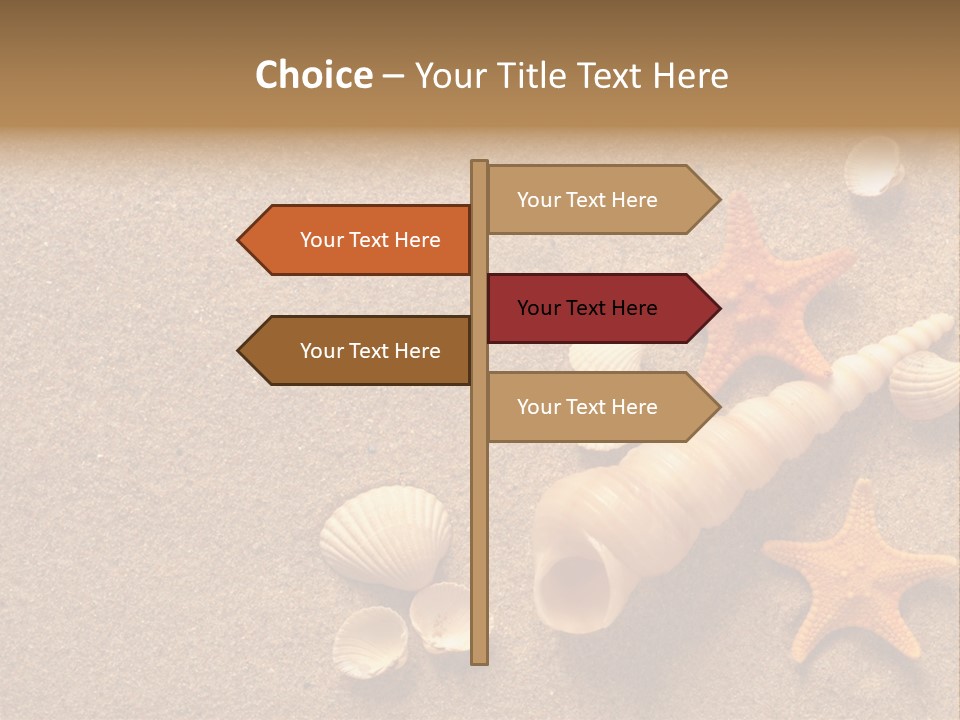 Vacation Souvenir Starfish PowerPoint Template