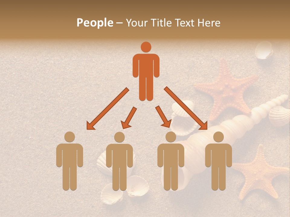 Vacation Souvenir Starfish PowerPoint Template