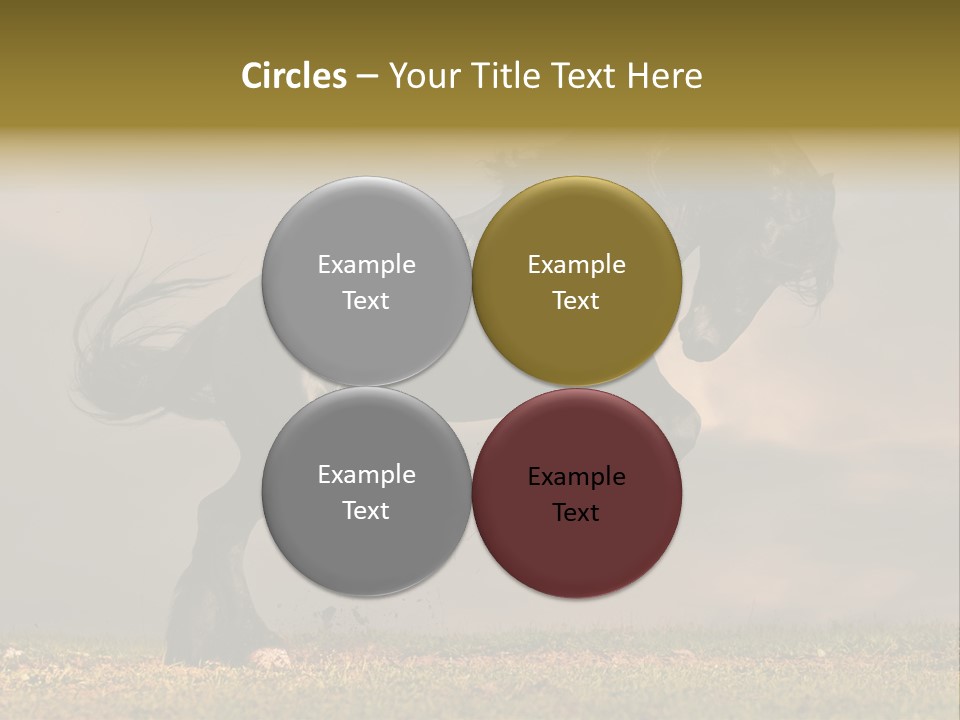 Color Blue Active PowerPoint Template