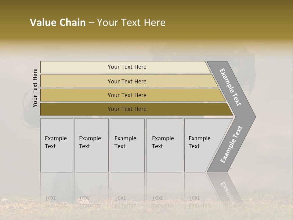 Color Blue Active PowerPoint Template