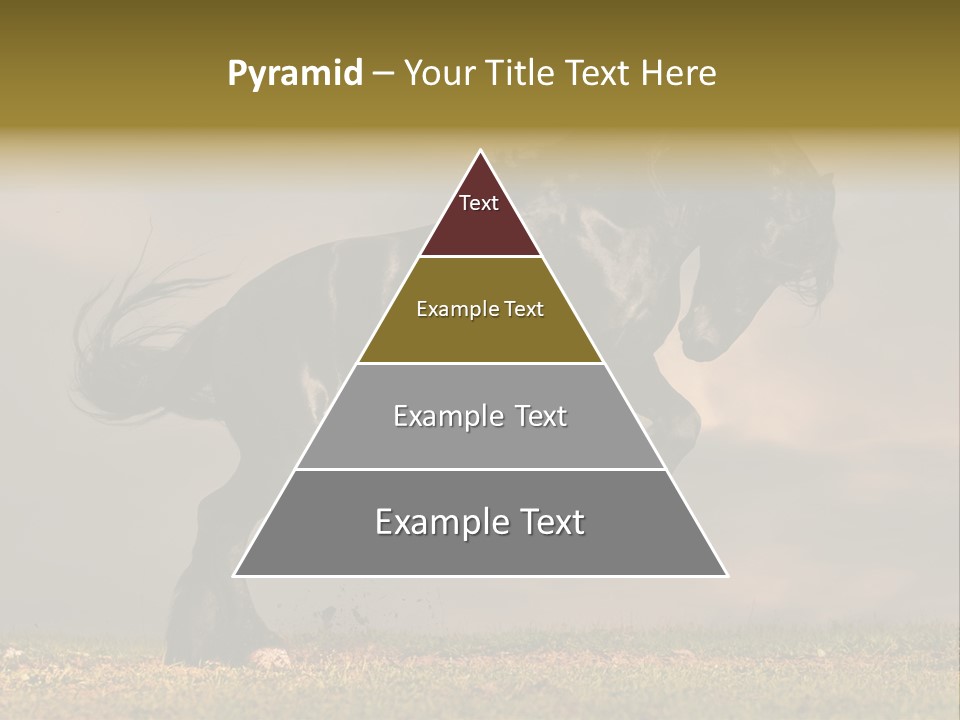 Color Blue Active PowerPoint Template