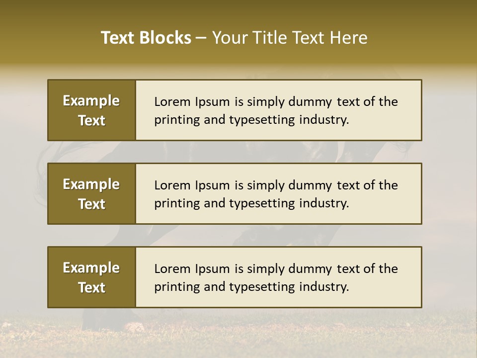 Color Blue Active PowerPoint Template