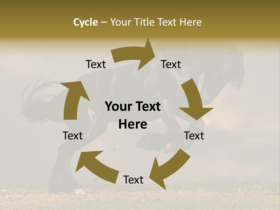 Color Blue Active PowerPoint Template