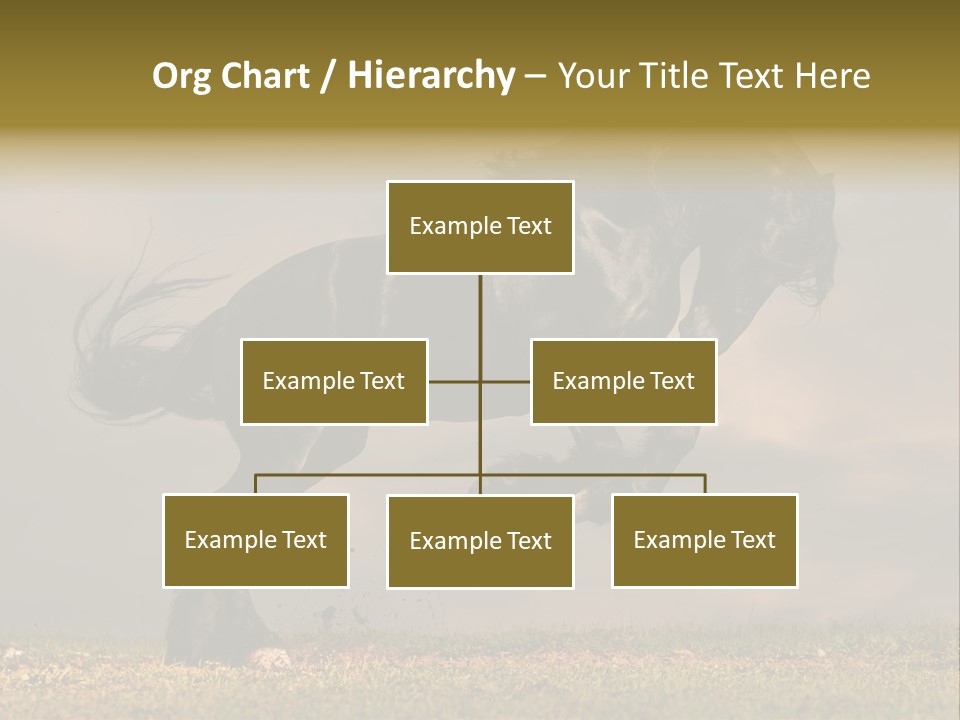 Color Blue Active PowerPoint Template