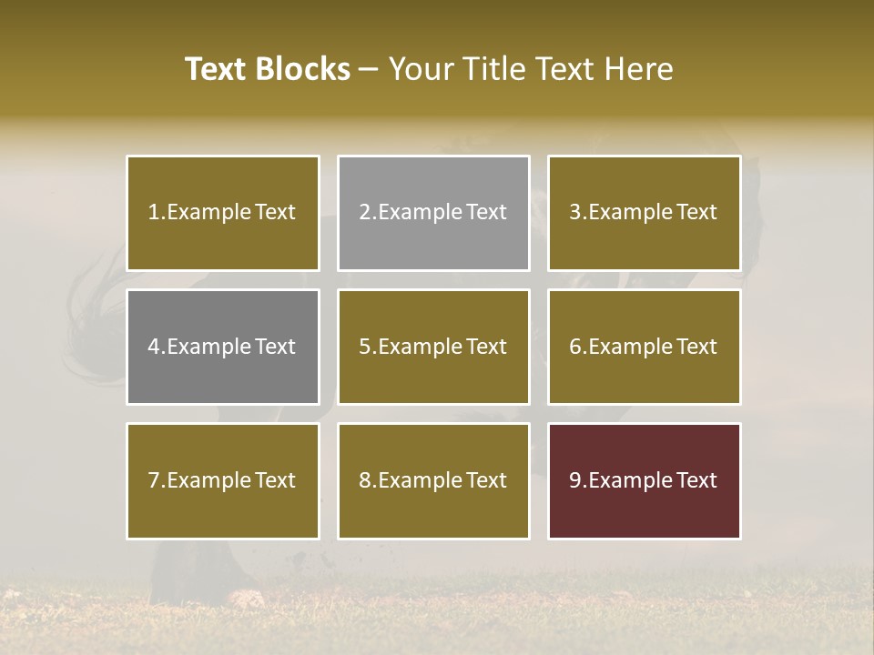 Color Blue Active PowerPoint Template