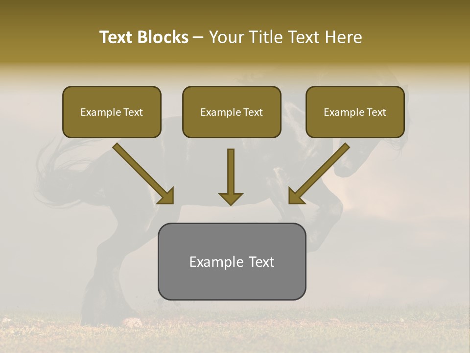 Color Blue Active PowerPoint Template