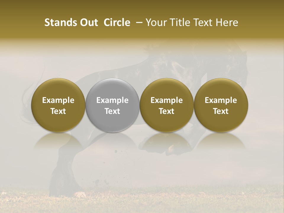 Color Blue Active PowerPoint Template