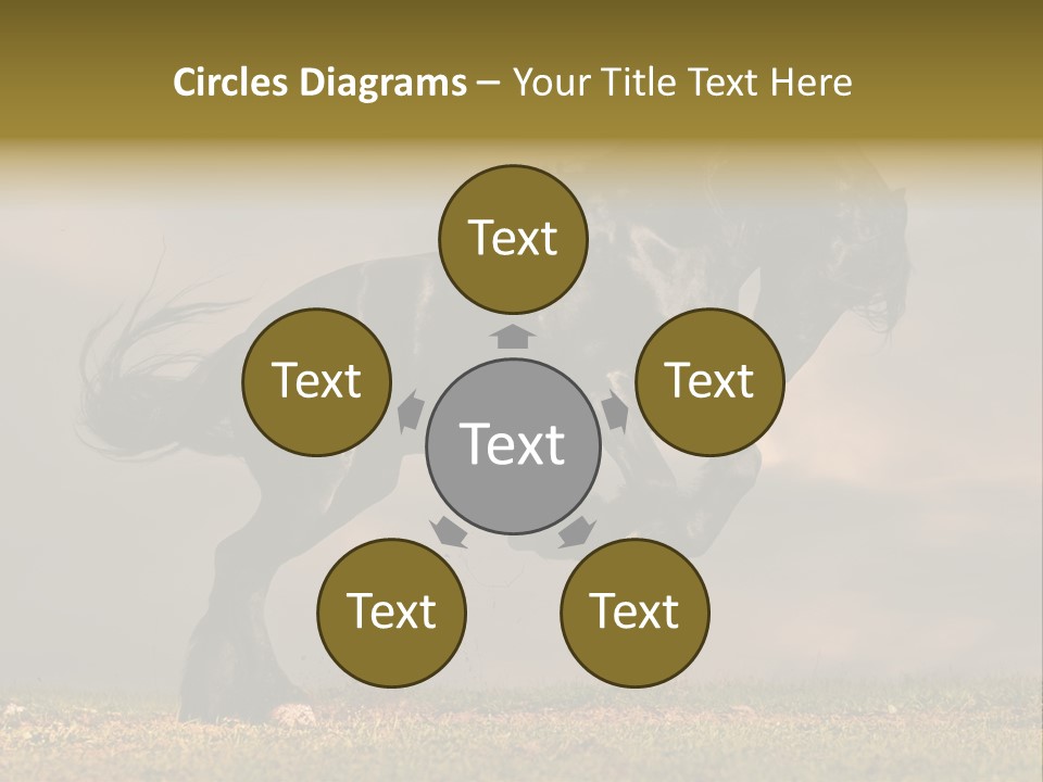 Color Blue Active PowerPoint Template