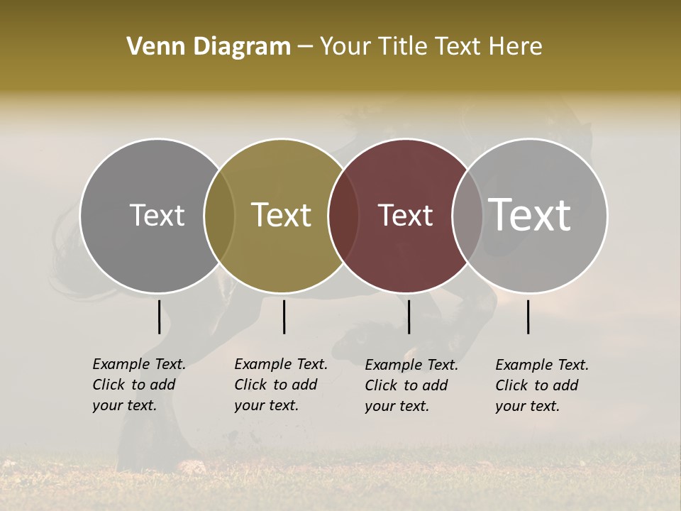 Color Blue Active PowerPoint Template