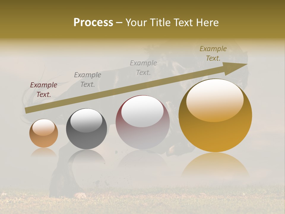 Color Blue Active PowerPoint Template