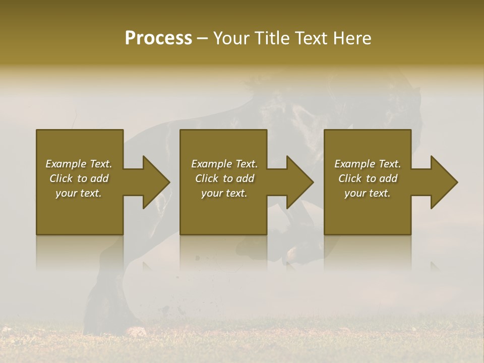 Color Blue Active PowerPoint Template