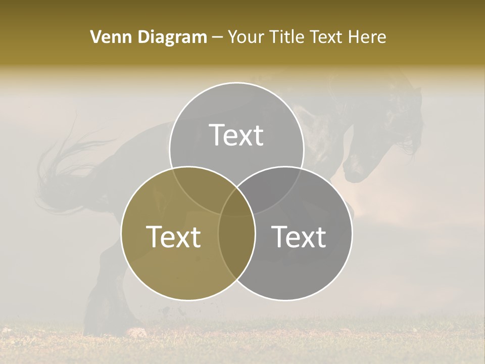 Color Blue Active PowerPoint Template