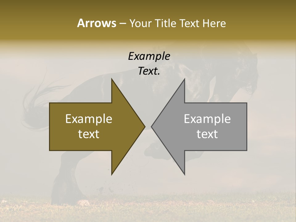 Color Blue Active PowerPoint Template