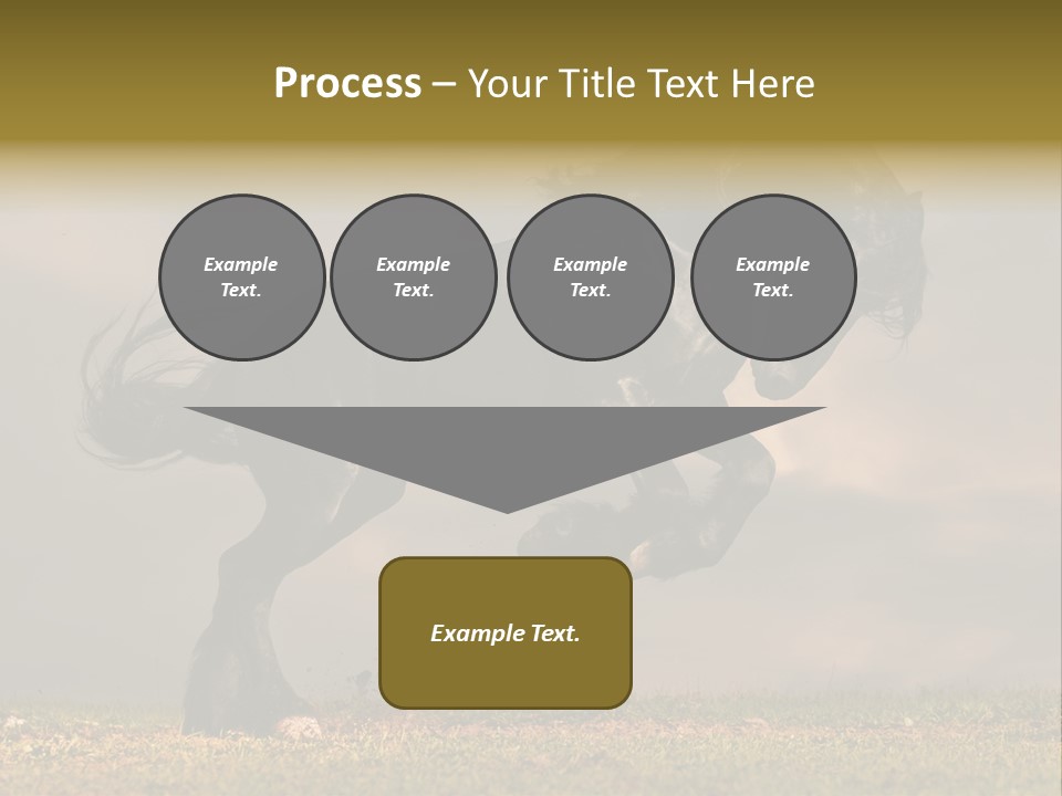 Color Blue Active PowerPoint Template