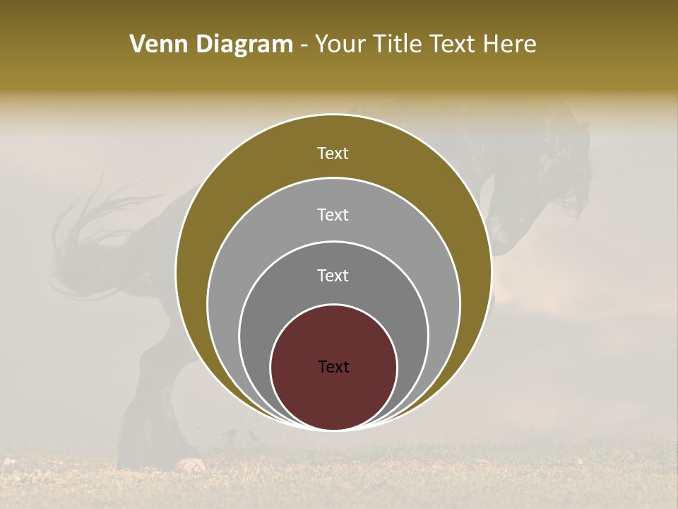 Color Blue Active PowerPoint Template