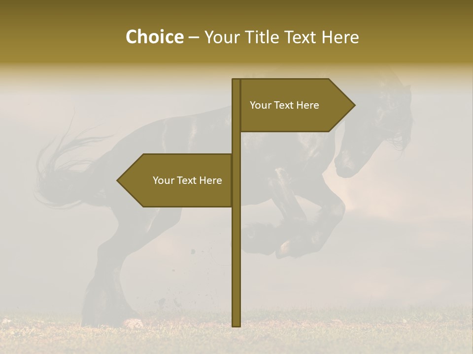 Color Blue Active PowerPoint Template