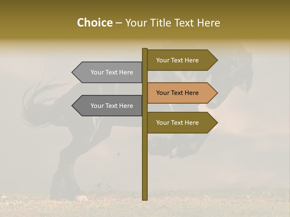 Color Blue Active PowerPoint Template