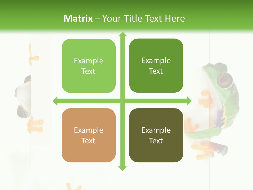 Space Color Frog PowerPoint Template