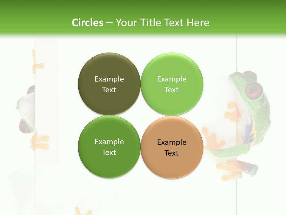 Space Color Frog PowerPoint Template