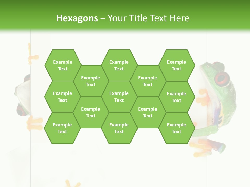 Space Color Frog PowerPoint Template