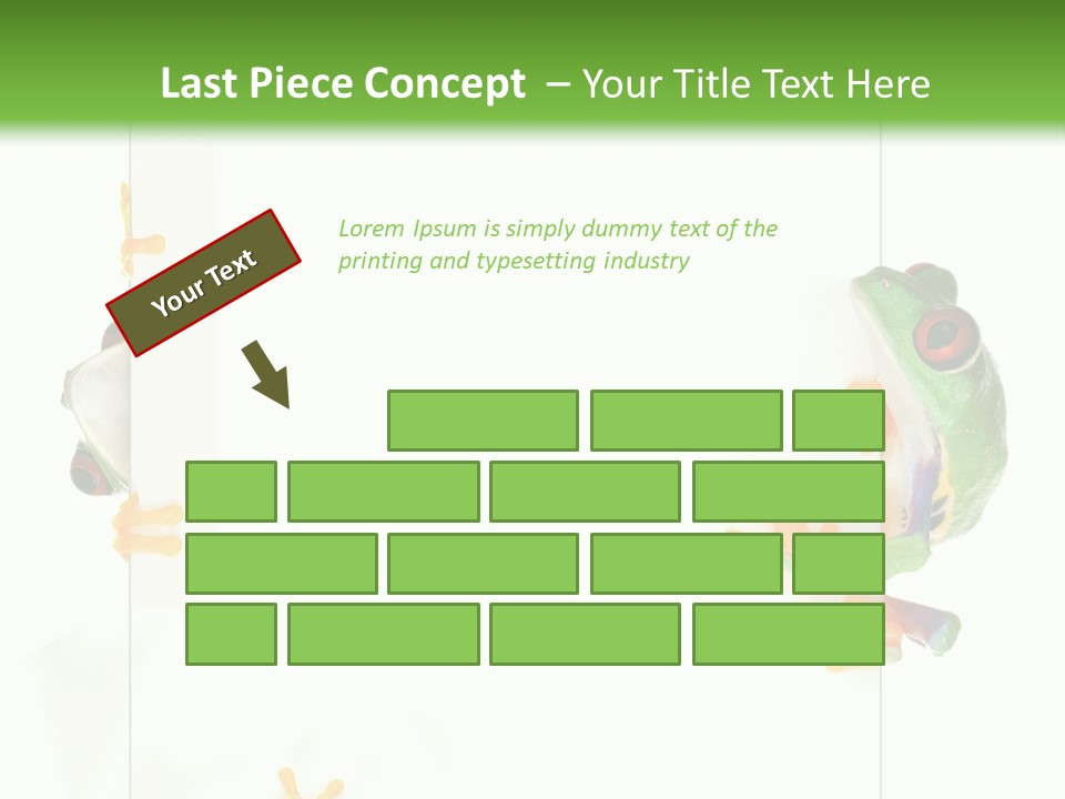 Space Color Frog PowerPoint Template