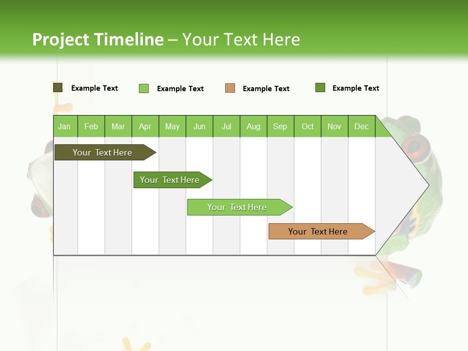 Space Color Frog PowerPoint Template