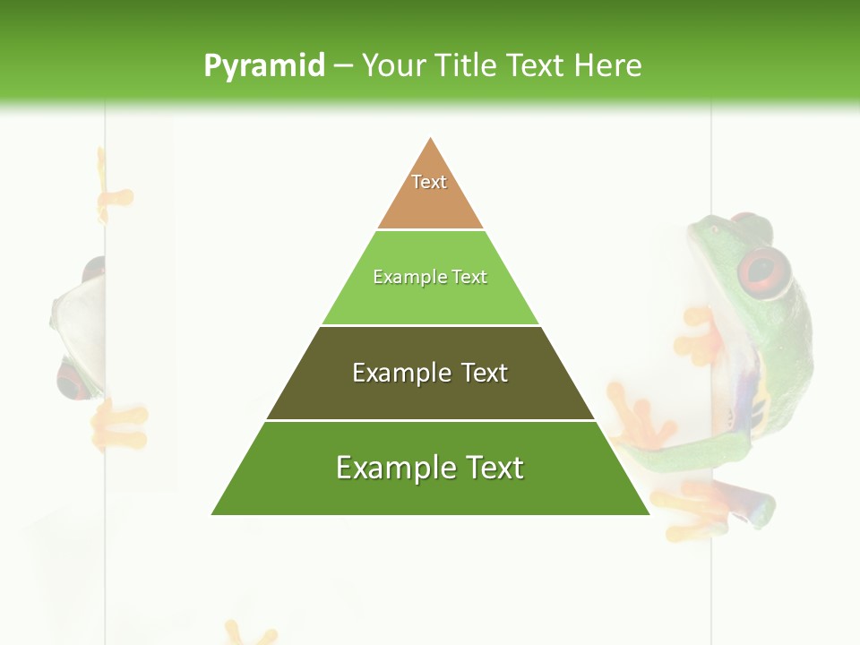 Space Color Frog PowerPoint Template