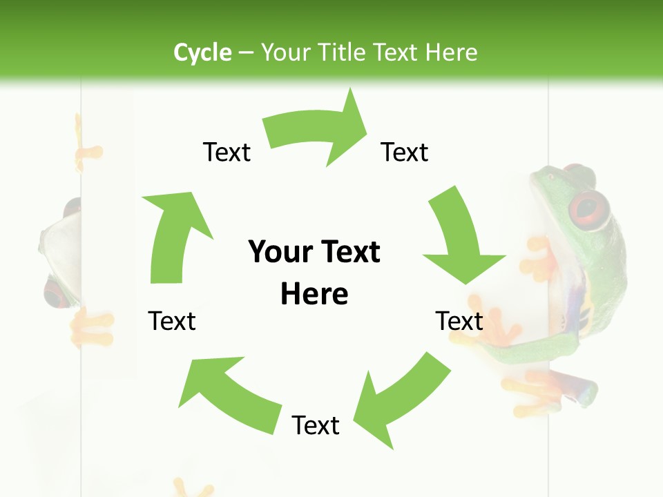 Space Color Frog PowerPoint Template