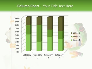 Space Color Frog PowerPoint Template