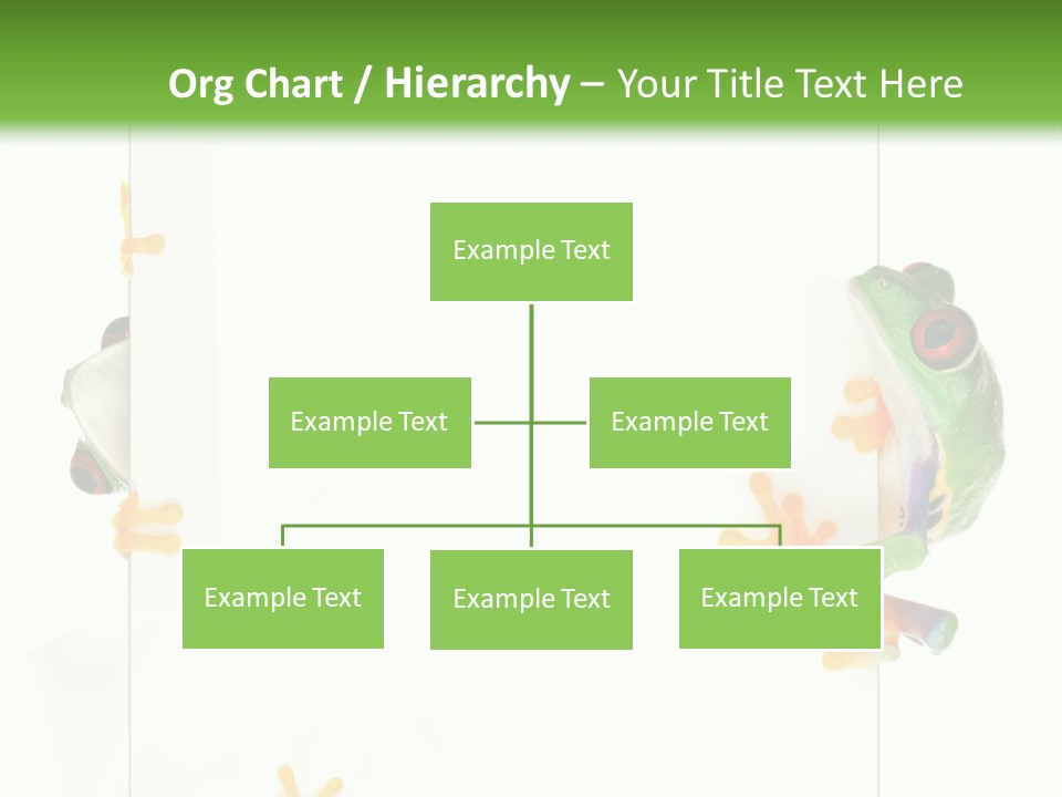 Space Color Frog PowerPoint Template