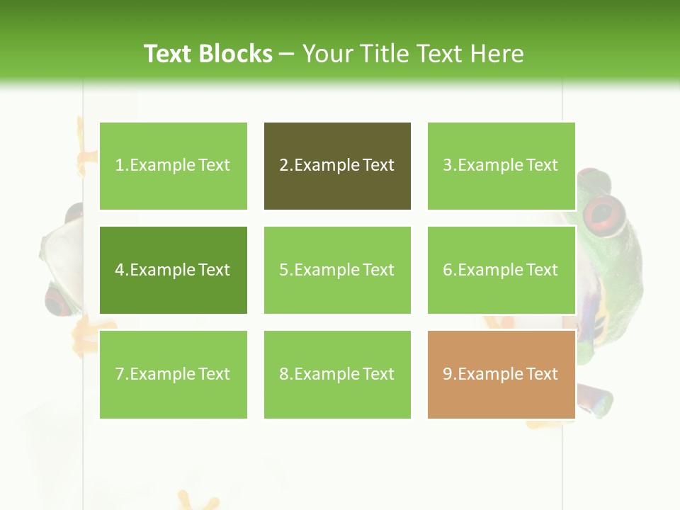 Space Color Frog PowerPoint Template