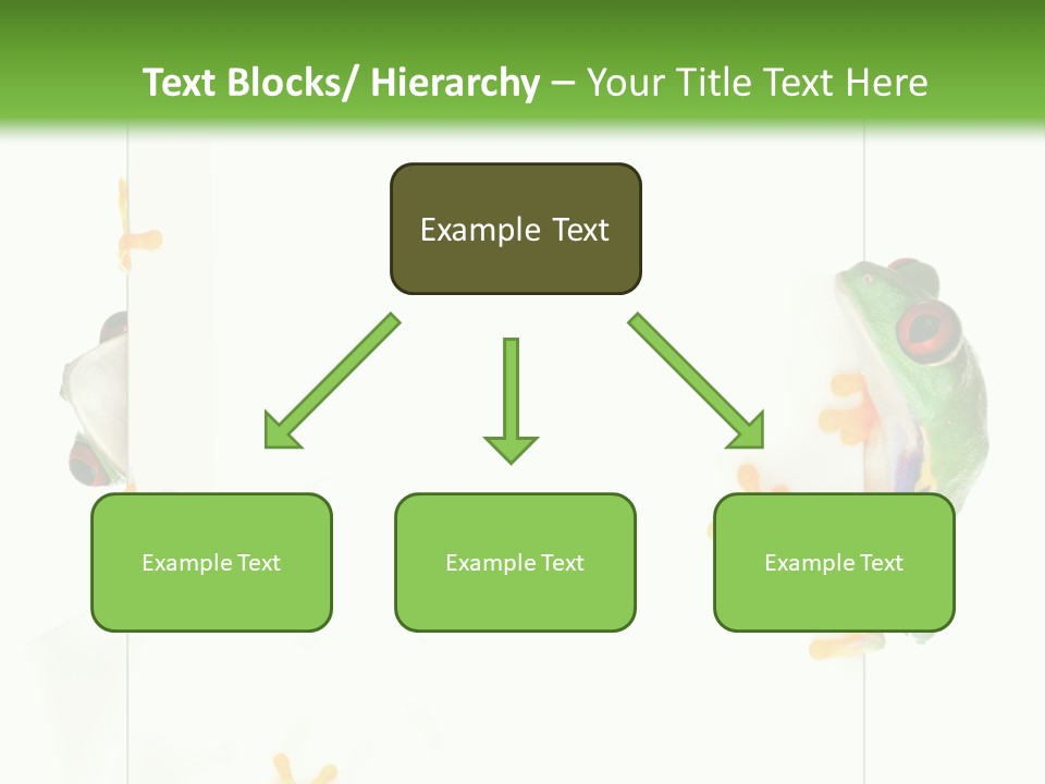 Space Color Frog PowerPoint Template