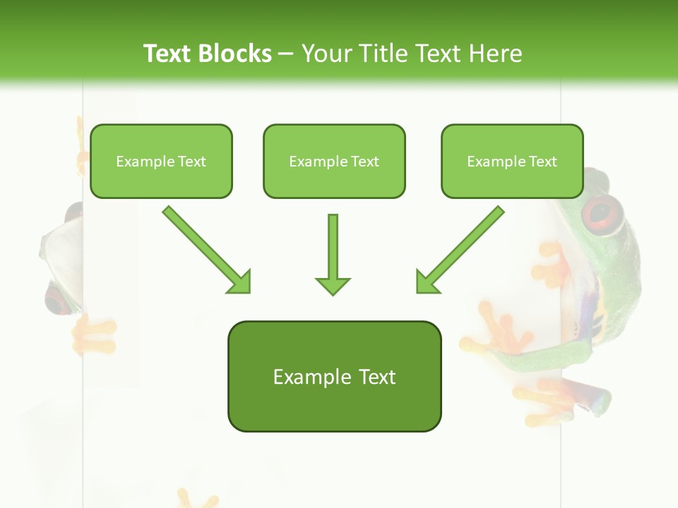 Space Color Frog PowerPoint Template