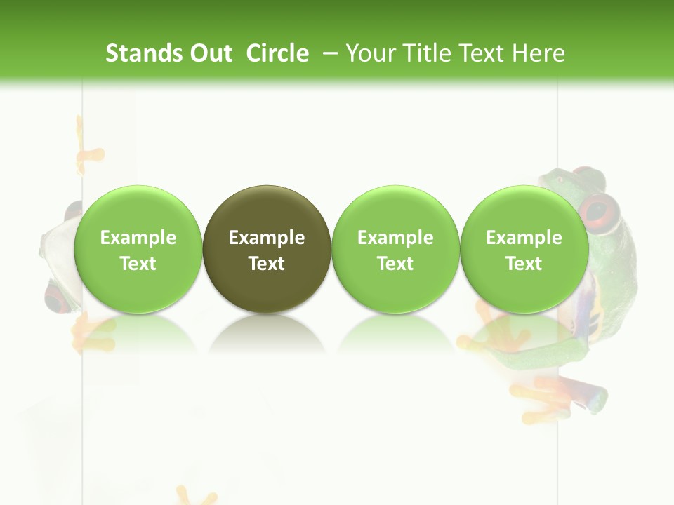 Space Color Frog PowerPoint Template