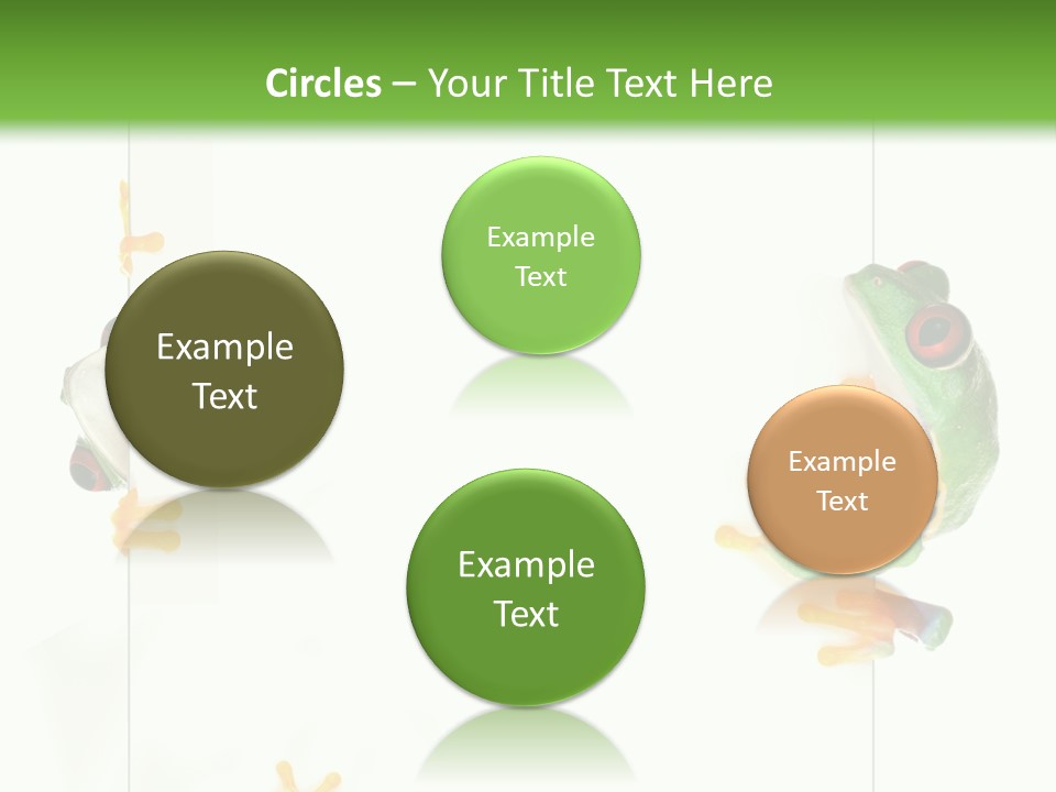 Space Color Frog PowerPoint Template