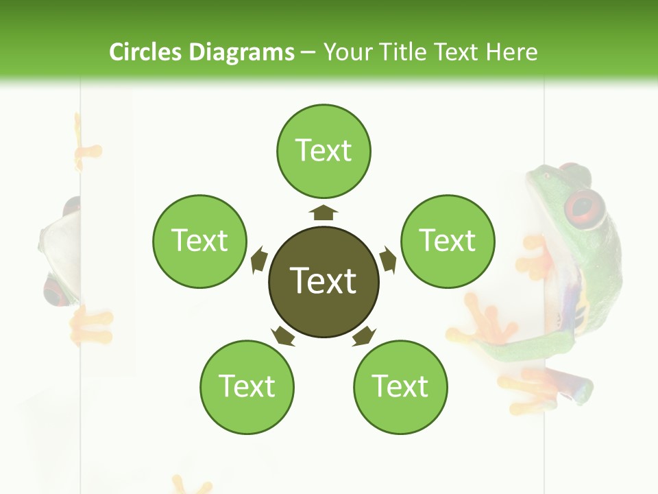 Space Color Frog PowerPoint Template