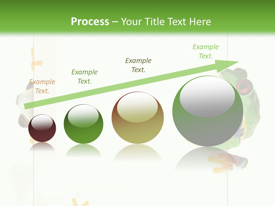 Space Color Frog PowerPoint Template