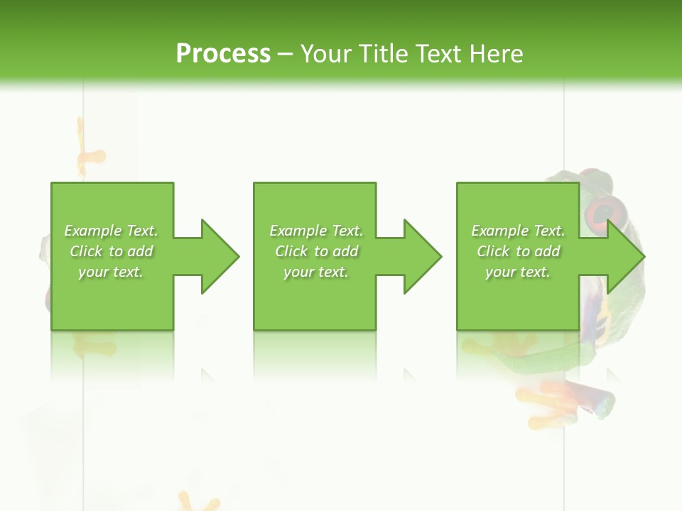 Space Color Frog PowerPoint Template