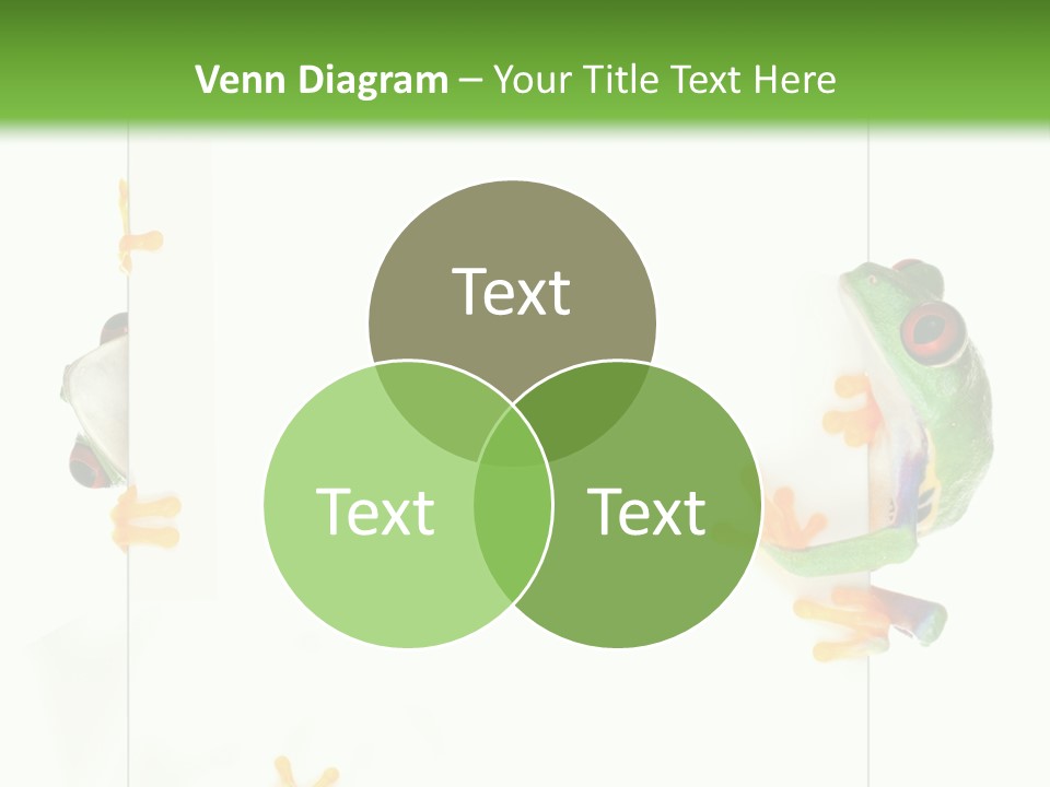 Space Color Frog PowerPoint Template