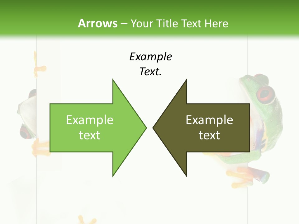 Space Color Frog PowerPoint Template