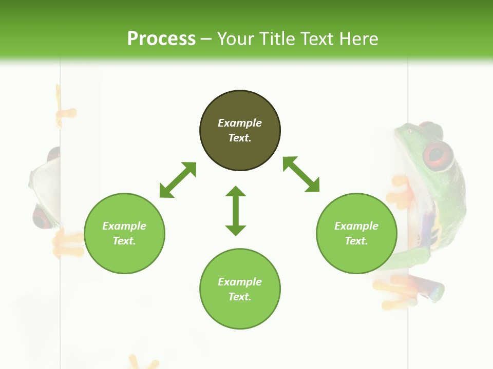 Space Color Frog PowerPoint Template