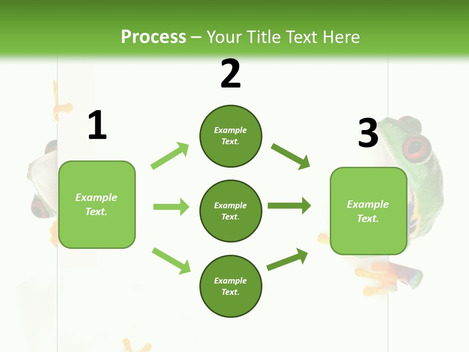 Space Color Frog PowerPoint Template