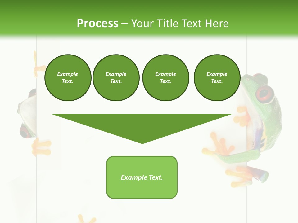 Space Color Frog PowerPoint Template