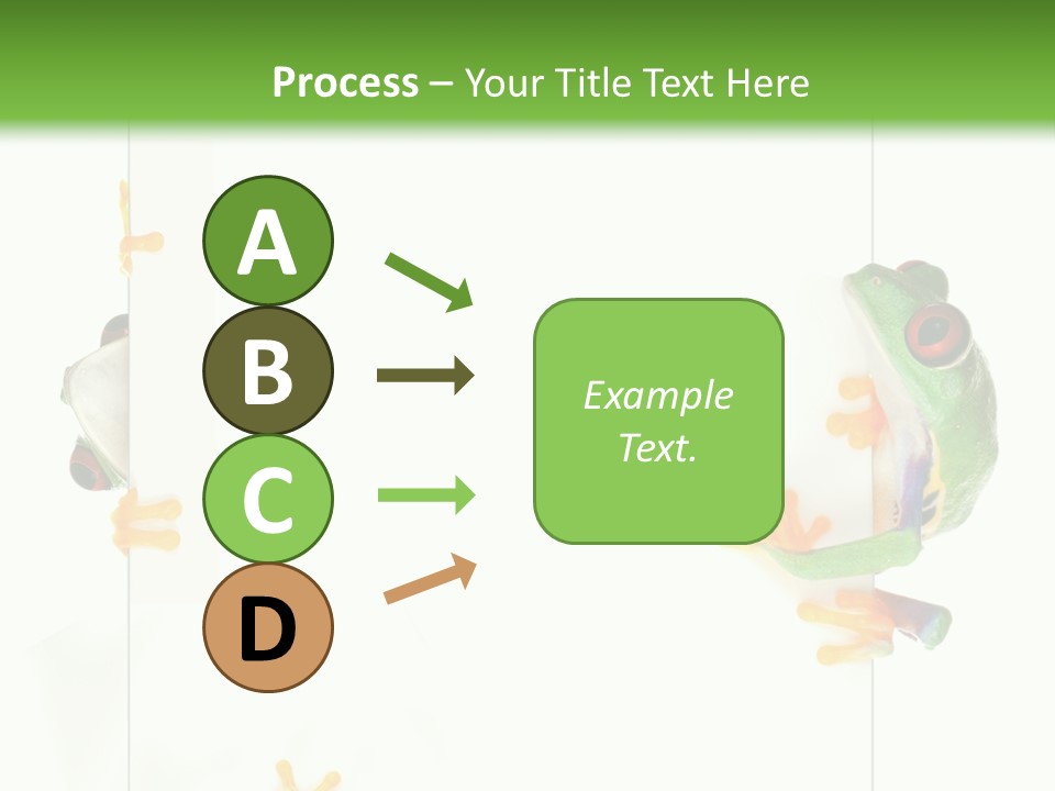 Space Color Frog PowerPoint Template
